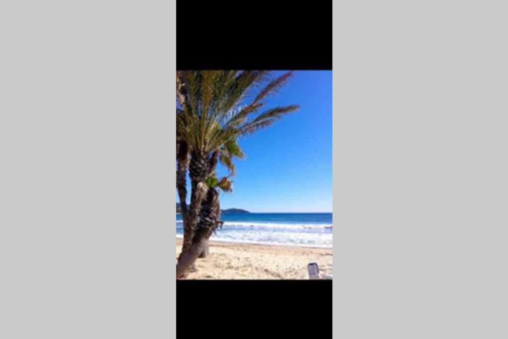 Au Petit Bonheur Vue Mer, Parking, 400M Plage เลอลาวองดูว์ ภายนอก รูปภาพ
